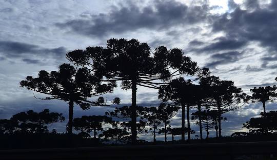 araucaria Administradora de Condomínios em Araucária